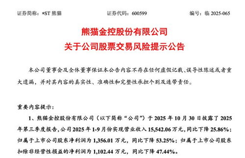 熊猫金控深陷多重风险 业绩下滑、审计非标与股份拍卖背后的危机