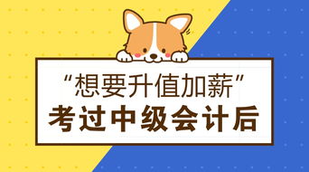 考过中级会计后职业发展 从事拍卖业务的机遇与工资前景
